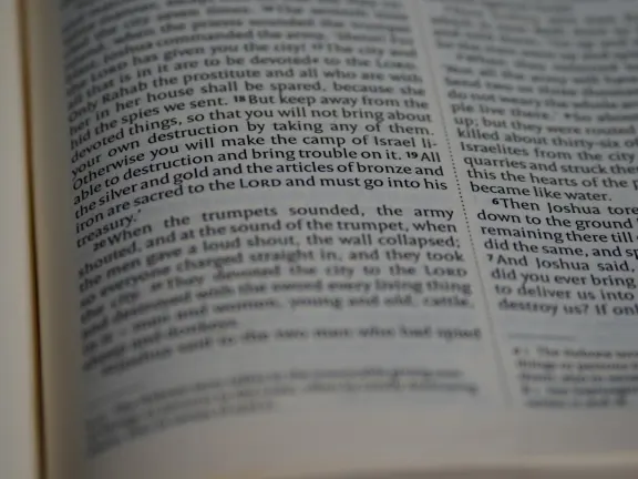 헤이고 카지노 지원